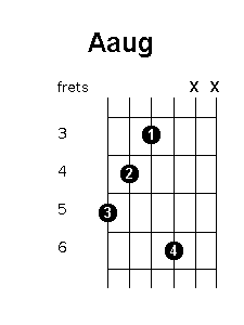 A augmented chord diagram