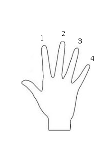 Diagram of hand with finger numbers